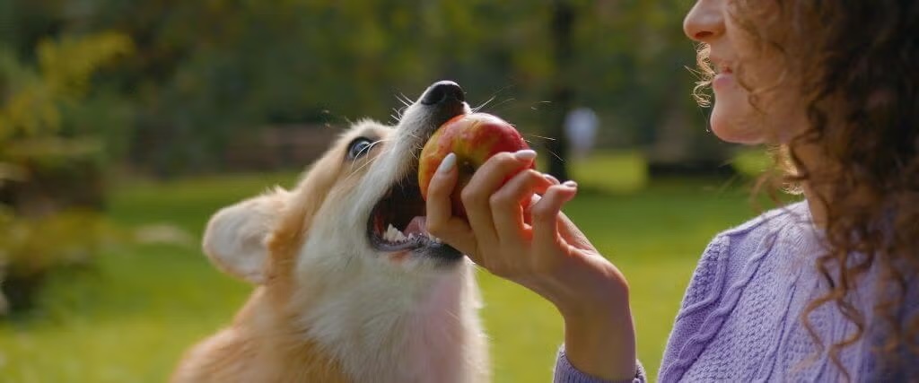 Can My Dog Eat That? Can My Dog Eat That?