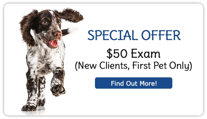 New Client Offer! $50 Exam (New Clients, First Pet Only)